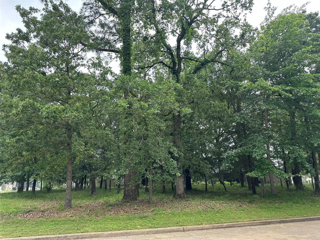 Listing 160 S Eagles Bluff Blvd, Bullard TX 75757